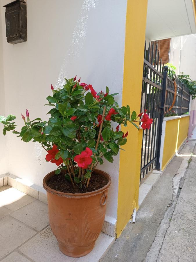 Stefanos Family Apartment Lefkáda 외부 사진
